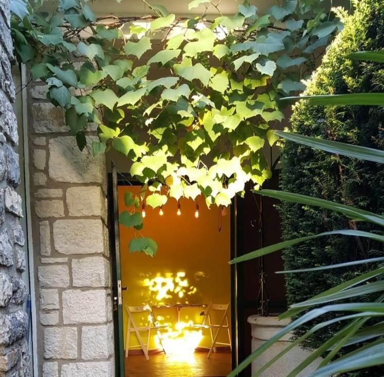 Villa Csipak Ровин Стая снимка